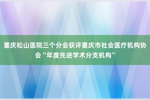 重庆松山医院三个分会获评重庆市社会医疗机构协会“年度先进学术分支机构”