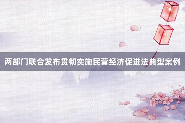两部门联合发布贯彻实施民营经济促进法典型案例